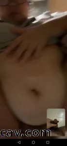 青岛胖母猪