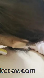 启东市洪流村骚逼