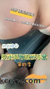 “带小母狗野外车震 第四季”（内射 精液流出来） 射骚货身上