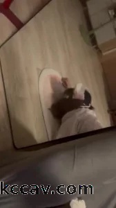 后入可爱嫩母狗叫声娇嫩可射