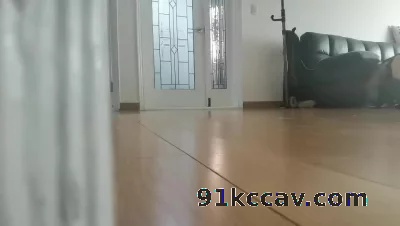 K9露脸调教