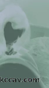 口活