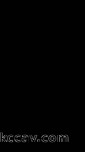 听声可射