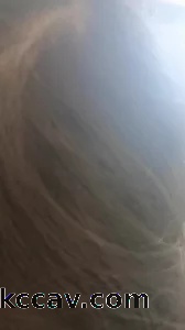 离异少妇吃鸡巴