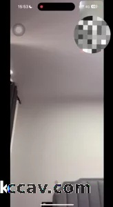 结尾网友发来一段互动视频，你们的呢？