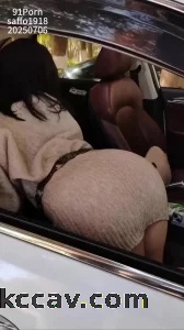 车里的骚母狗