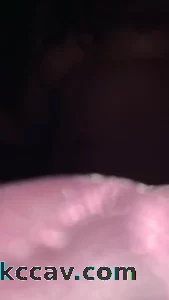 情人