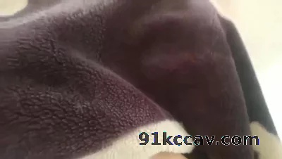 重庆美院大三，一点点片段，想找个耐艹的