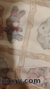 后入小母狗
