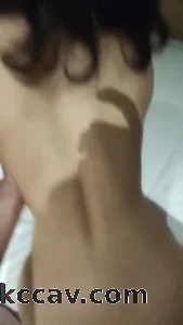 跳舞的小野猫