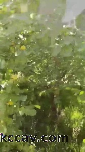 果园野战操熟女1