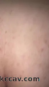 后入大屁股