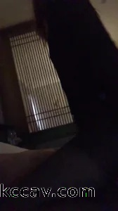 骚妻和单男的最新活动，