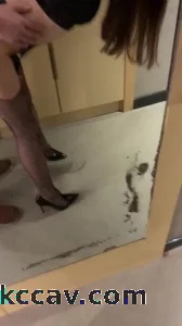 对镜子输出狗