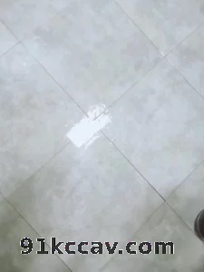 继续厕所草骚女