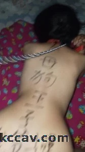 王子爷操母狗