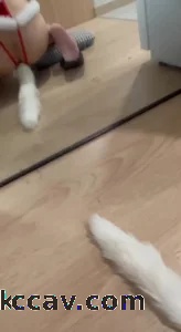 【出完整版】自拍调教极品母狗女友