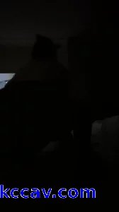 我的大屁股熟女