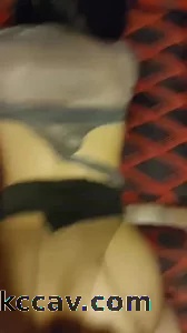 白云区太和镇母狗
