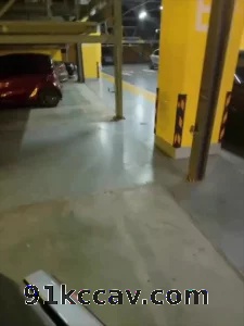 深夜地下车库开车门后入车震骚货