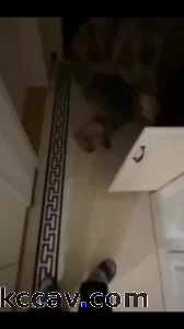 看简见有你想要的！嫂子来家里玩在洗手间被我掀开被子调戏口交无套内射