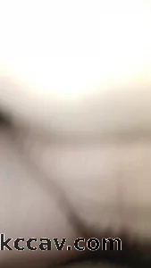 黑夜里偷情