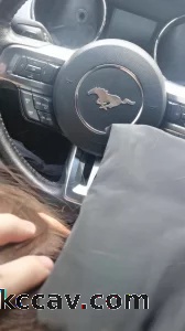 奈何车子太小  只能我先爽一下了