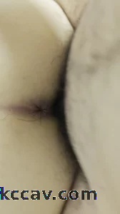 一点点肏进母狗的骚穴