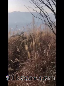 海拔600多米荒无人烟的山上