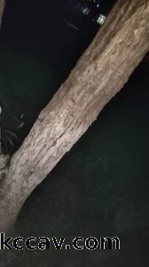 路边野战做爱有车就有车吧随便看