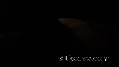 0731车震