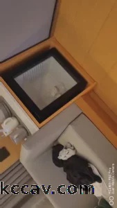 现发一个视频