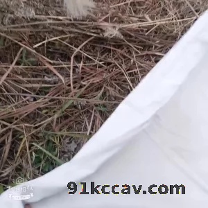 勾引钓鱼老头2