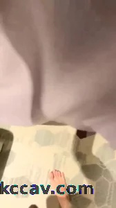 品鉴3