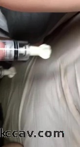 和老婆的日常  后入 操爽了  后入
