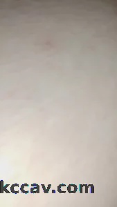 母狗一样的