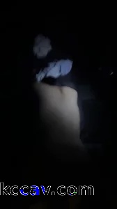 深夜停车绿化带后入人妻