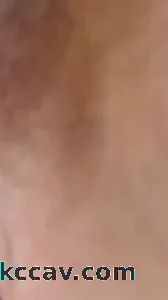 舔老婆的逼逼