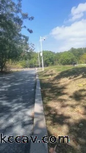 公园当着其他人面操母狗