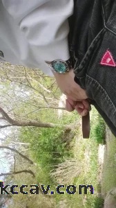 夏天来了，带上老母狗出来玩
