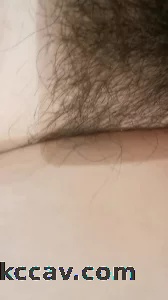 我的母狗4