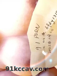 请求91论坛验证码