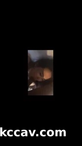 聊城洋洋露脸口交做爱