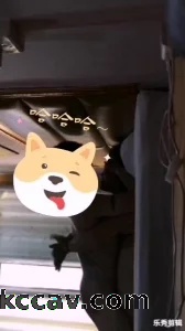 江西赣州人妻第三部加速冲刺无套内射