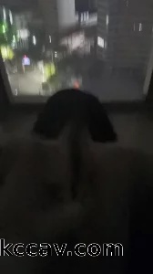 少妇知道自己喝完酒就要挨草，不知道是酒瘾还是批瘾
