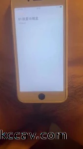 我的熟女母狗验证