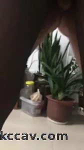 大奶后入