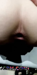爆菊