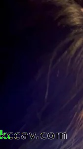 母狗二号饿啦