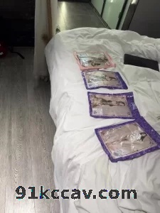 这样的母狗你喜欢吗